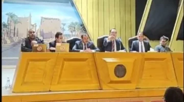 الحصر العددي لأصوات الناخبين في دائرة بندر ومركز الأقصر يحدد رسمياً توزيع الأصوات الانتخابية 1